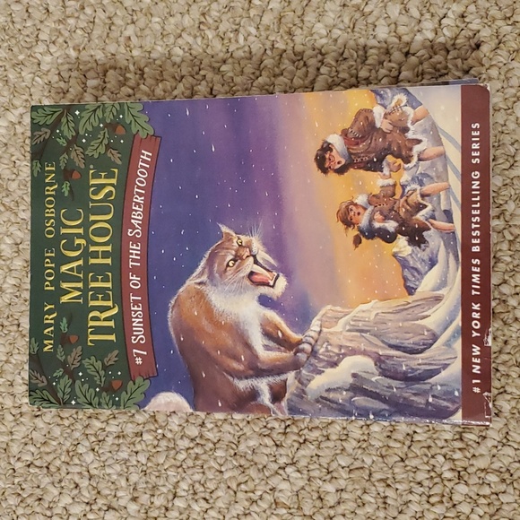 Lot of 12 Magic Tree House Paperback Books (Book 1-12) - Picture 9 of 16